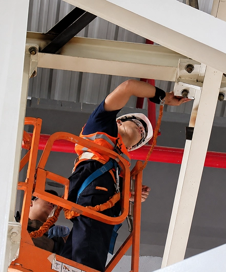 Inspecciones Profix 3